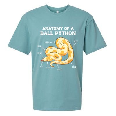 Anatomy Of A Ball Python Reptile Snake Owner Sueded Cloud Jersey T-Shirt