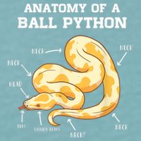 Anatomy Of A Ball Python Reptile Snake Owner Sueded Cloud Jersey T-Shirt