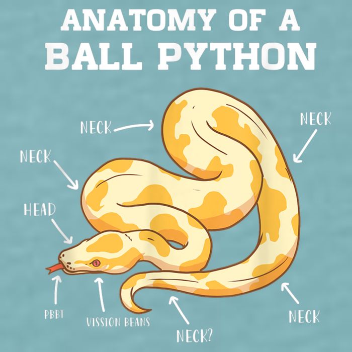 Anatomy Of A Ball Python Reptile Snake Owner Sueded Cloud Jersey T-Shirt