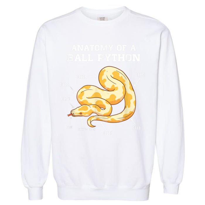 Anatomy Of A Ball Python Reptile Snake Owner Garment-Dyed Sweatshirt