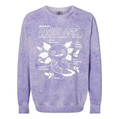 Anatomy Of A Axolotl Colorblast Crewneck Sweatshirt