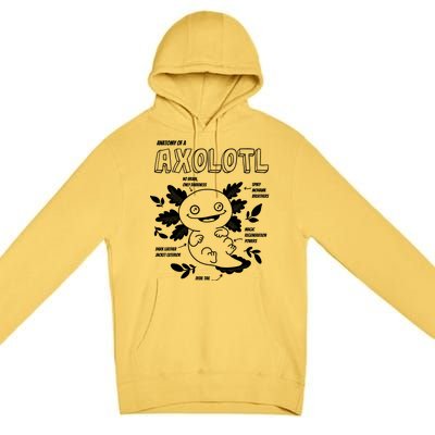 Anatomy Of A Axolotl Premium Pullover Hoodie