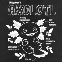 Anatomy Of A Axolotl Tumbler