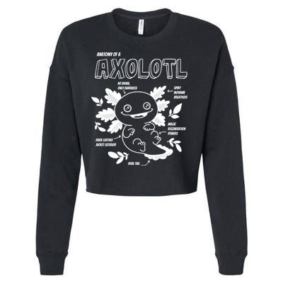 Anatomy Of A Axolotl Cropped Pullover Crew