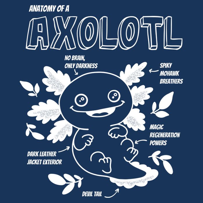 Anatomy Of A Axolotl T-Shirt