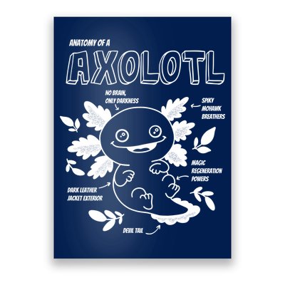 Anatomy Of A Axolotl Poster