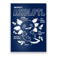 Anatomy Of A Axolotl Poster