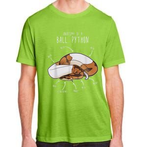 Anatomy Of A Piebald Ball Python Funny Reptile Snake Lover Adult ChromaSoft Performance T-Shirt