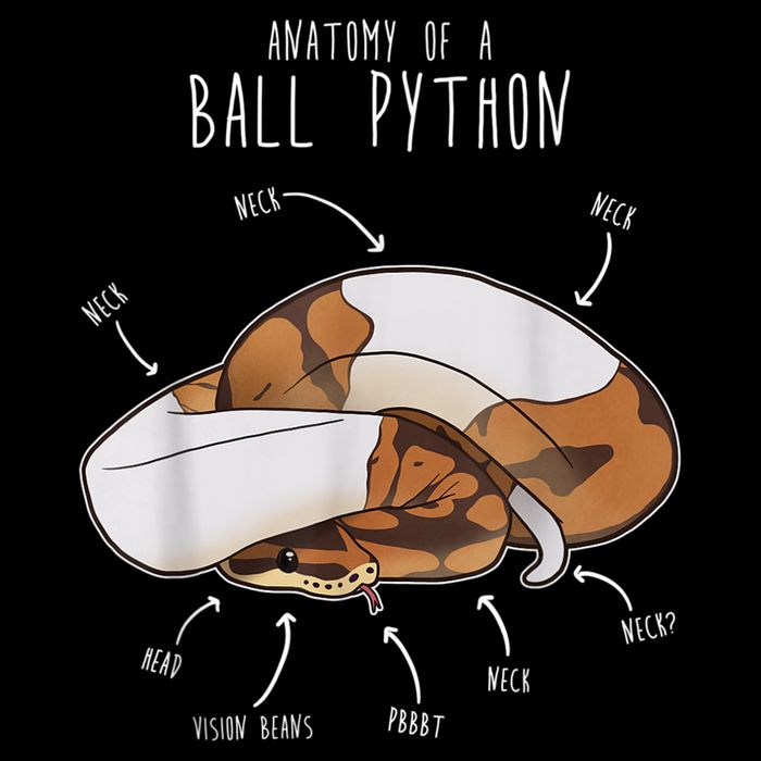 Anatomy Of A Piebald Ball Python Funny Reptile Snake Lover Cooling Performance Crew T-Shirt