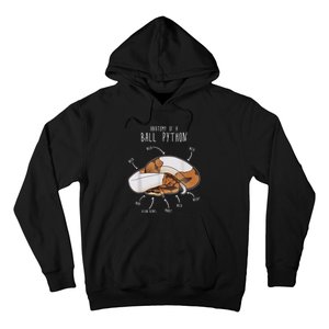 Anatomy Of A Piebald Ball Python Funny Reptile Snake Lover Hoodie