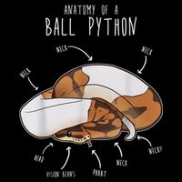 Anatomy Of A Piebald Ball Python Funny Reptile Snake Lover 16 in Basic Backpack
