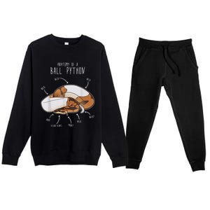 Anatomy Of A Piebald Ball Python Funny Reptile Snake Lover Premium Crewneck Sweatsuit Set