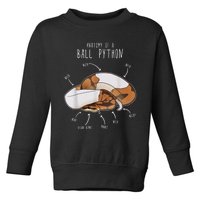 Anatomy Of A Piebald Ball Python Funny Reptile Snake Lover Toddler Sweatshirt