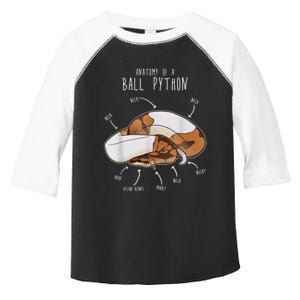 Anatomy Of A Piebald Ball Python Funny Reptile Snake Lover Toddler Fine Jersey T-Shirt