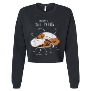 Anatomy Of A Piebald Ball Python Funny Reptile Snake Lover Cropped Pullover Crew