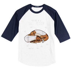 Anatomy Of A Piebald Ball Python Funny Reptile Snake Lover Baseball Sleeve Shirt