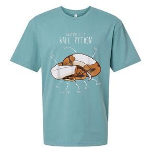 Anatomy Of A Piebald Ball Python Funny Reptile Snake Lover Sueded Cloud Jersey T-Shirt