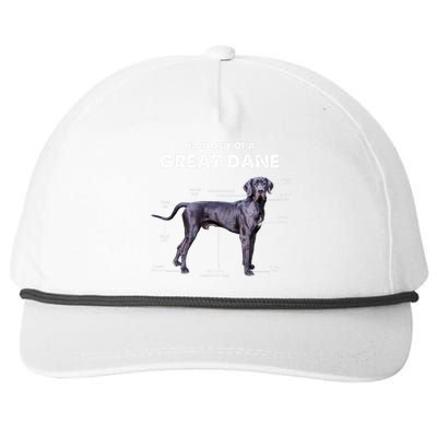 Anatomy Of A Great Dane Perfect Gift For Dog Lovers Snapback Five-Panel Rope Hat