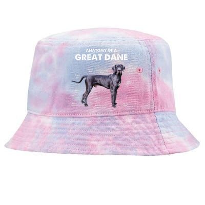 Anatomy Of A Great Dane Perfect Gift For Dog Lovers Tie-Dyed Bucket Hat