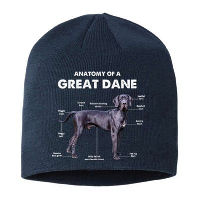 Anatomy Of A Great Dane Perfect Gift For Dog Lovers Sustainable Beanie