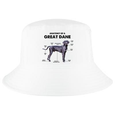 Anatomy Of A Great Dane Perfect Gift For Dog Lovers Cool Comfort Performance Bucket Hat