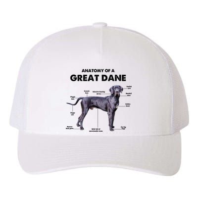 Anatomy Of A Great Dane Perfect Gift For Dog Lovers Yupoong Adult 5-Panel Trucker Hat