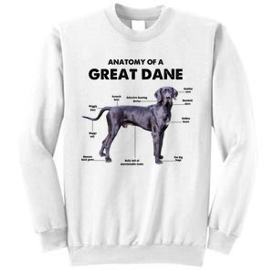 Anatomy Of A Great Dane Perfect Gift For Dog Lovers Sweatshirt