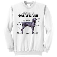 Anatomy Of A Great Dane Perfect Gift For Dog Lovers Sweatshirt