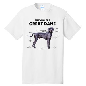 Anatomy Of A Great Dane Perfect Gift For Dog Lovers Tall T-Shirt