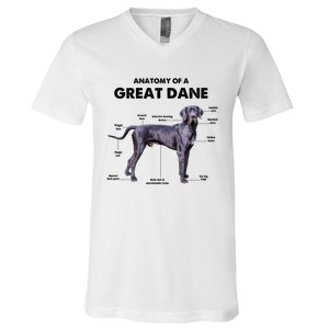 Anatomy Of A Great Dane Perfect Gift For Dog Lovers V-Neck T-Shirt