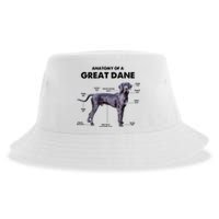 Anatomy Of A Great Dane Perfect Gift For Dog Lovers Sustainable Bucket Hat