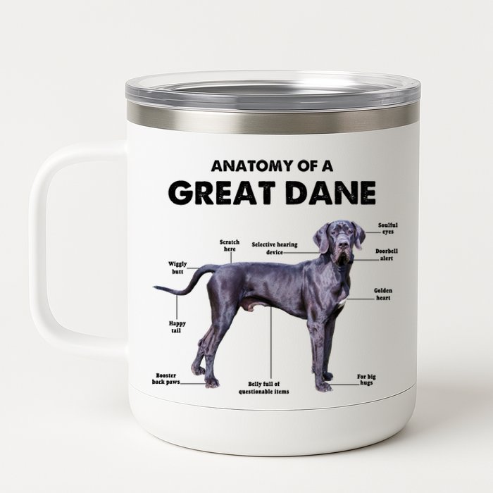 Anatomy Of A Great Dane Perfect Gift For Dog Lovers 12 oz Stainless Steel Tumbler Cup