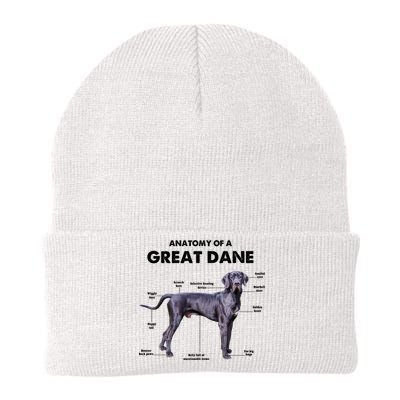 Anatomy Of A Great Dane Perfect Gift For Dog Lovers Knit Cap Winter Beanie