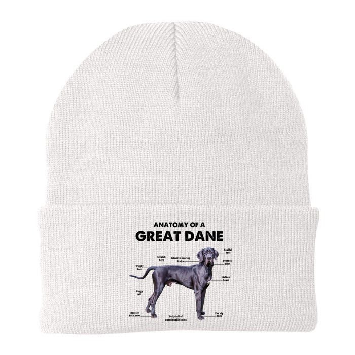 Anatomy Of A Great Dane Perfect Gift For Dog Lovers Knit Cap Winter Beanie