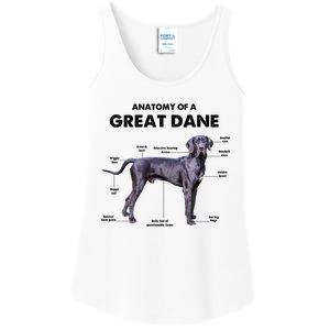 Anatomy Of A Great Dane Perfect Gift For Dog Lovers Ladies Essential Tank