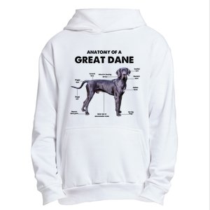 Anatomy Of A Great Dane Perfect Gift For Dog Lovers Urban Pullover Hoodie