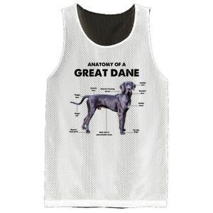 Anatomy Of A Great Dane Perfect Gift For Dog Lovers Mesh Reversible Basketball Jersey Tank