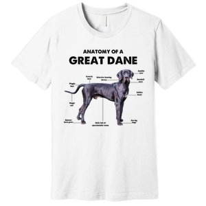 Anatomy Of A Great Dane Perfect Gift For Dog Lovers Premium T-Shirt