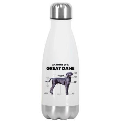 Anatomy Of A Great Dane Perfect Gift For Dog Lovers Stainless Steel Insulated Water Bottle