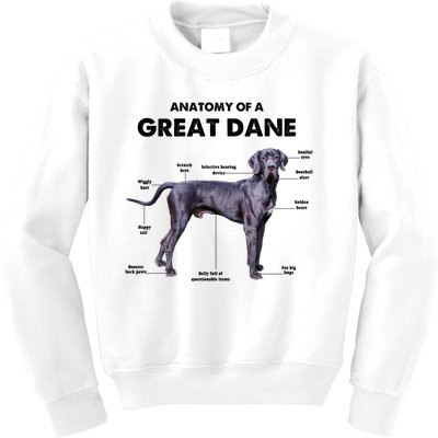 Anatomy Of A Great Dane Perfect Gift For Dog Lovers Kids Sweatshirt