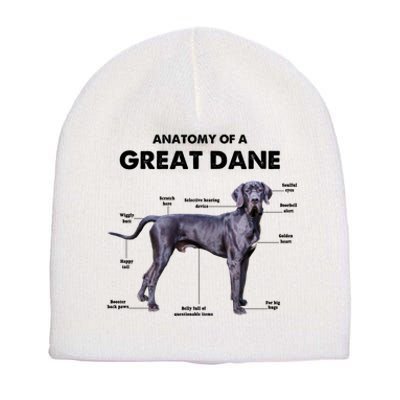 Anatomy Of A Great Dane Perfect Gift For Dog Lovers Short Acrylic Beanie