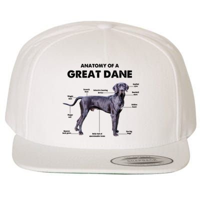 Anatomy Of A Great Dane Perfect Gift For Dog Lovers Wool Snapback Cap