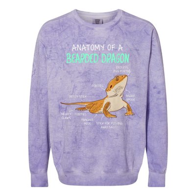 Anatomy Of A Bearded Dragon Bearded Dragon Lizard Pogona Reptile Colorblast Crewneck Sweatshirt