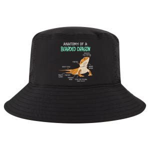 Anatomy Of A Bearded Dragon Bearded Dragon Lizard Pogona Reptile Cool Comfort Performance Bucket Hat