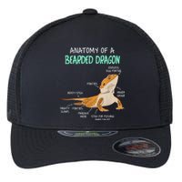 Anatomy Of A Bearded Dragon Bearded Dragon Lizard Pogona Reptile Flexfit Unipanel Trucker Cap