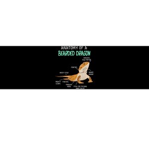 Anatomy Of A Bearded Dragon Bearded Dragon Lizard Pogona Reptile Bumper Sticker