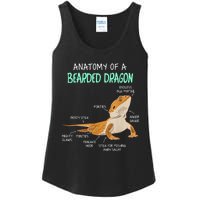 Anatomy Of A Bearded Dragon Bearded Dragon Lizard Pogona Reptile Ladies Essential Tank