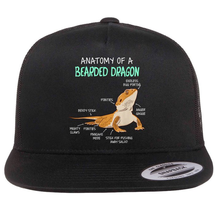 Anatomy Of A Bearded Dragon Bearded Dragon Lizard Pogona Reptile Flat Bill Trucker Hat