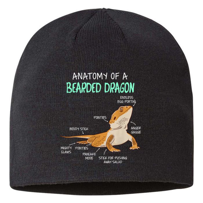 Anatomy Of A Bearded Dragon Bearded Dragon Lizard Pogona Reptile Sustainable Beanie