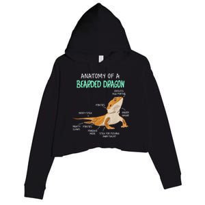 Anatomy Of A Bearded Dragon Bearded Dragon Lizard Pogona Reptile Crop Fleece Hoodie